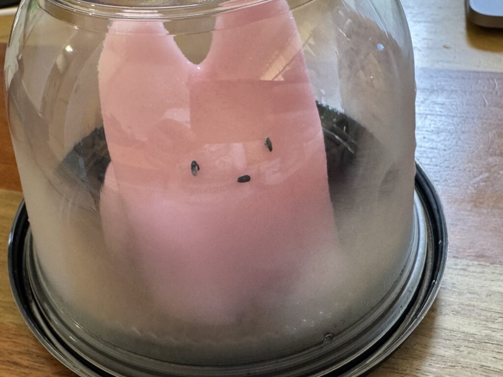 ねこプリン いちごみるく味のパッケージ写真