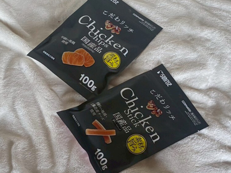 お土産のチキンジャーキー